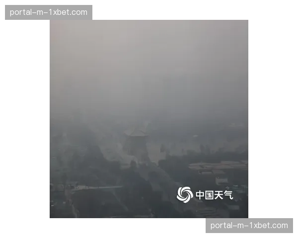 小熊与红雀比赛因大雾天气，后段局数在能见度不佳条件下进行